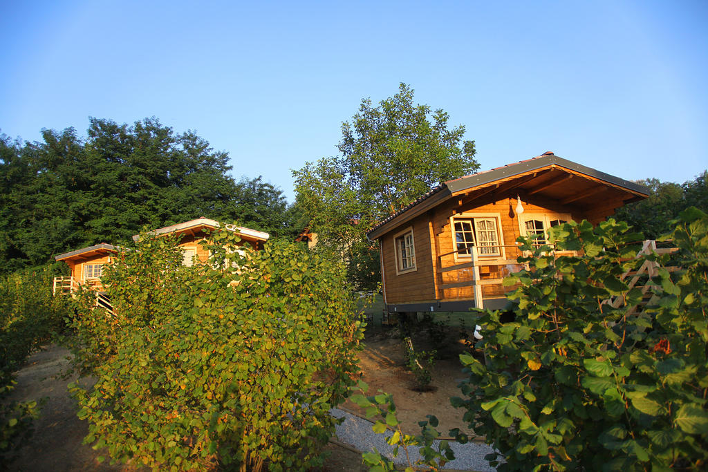 Ecolodge Langhe Cherasco Exterior photo